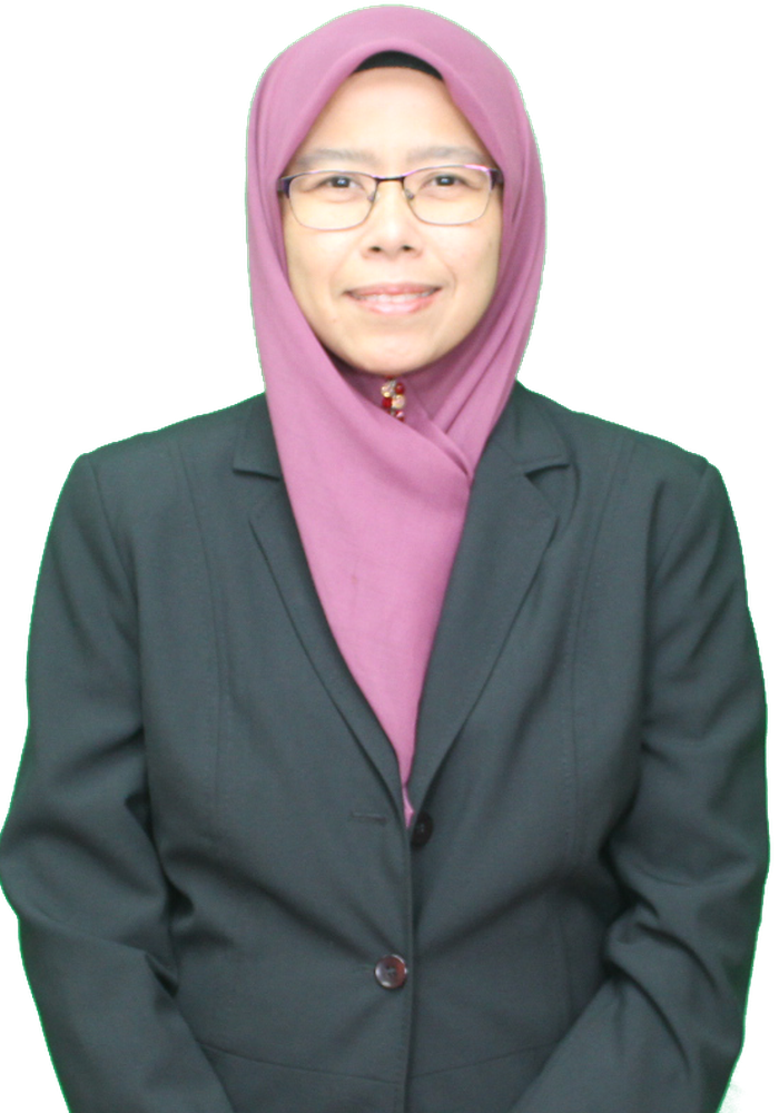 Assoc. Prof. Ir. Ts. Dr. Hasmaini Binti Mohamad